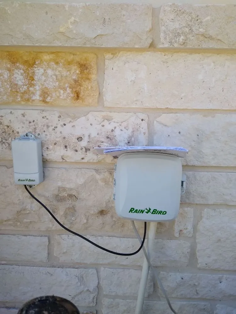 Expert lawn mowing service for year-round maintenance in San Antonio, TX by Henry Giraldo Lawn Services