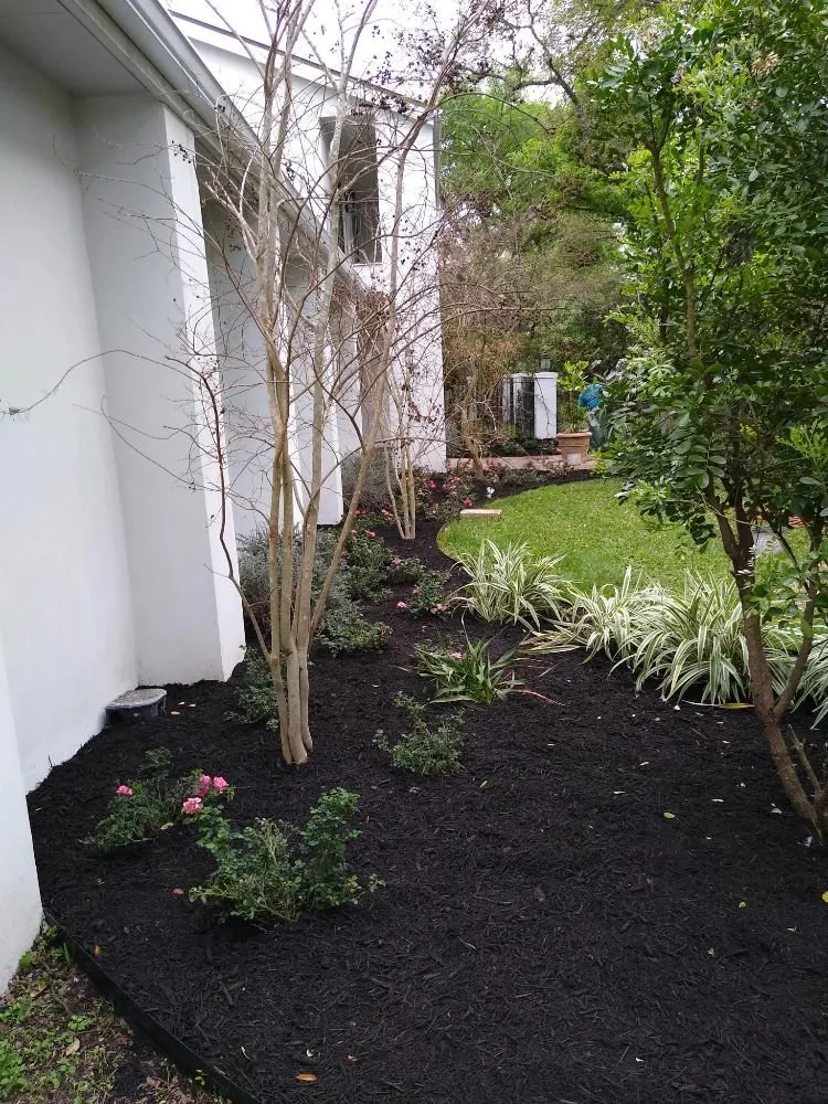 Affordable yard cleanup service experts serving San Antonio, TX - Henry Giraldo Lawn Services