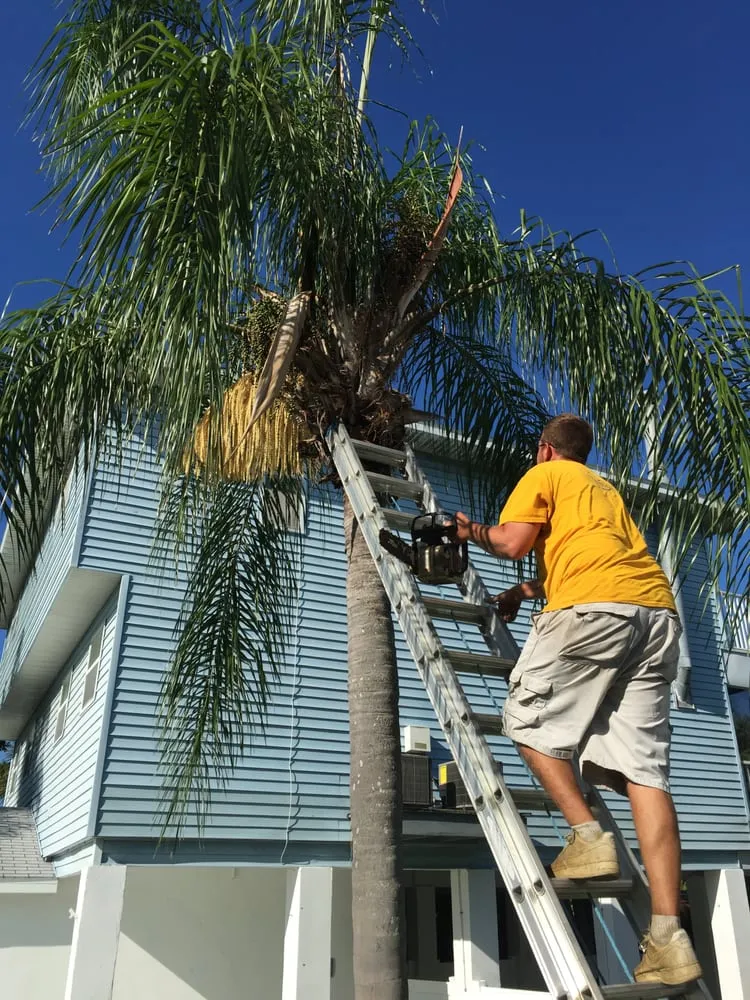 Affordable residential landscaping in Largo, FL - Henry G's Lawn Care & Landscaping