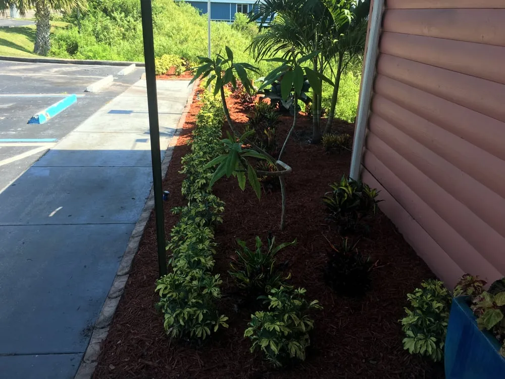 Local residential landscaping for beautiful yards across Largo, FL - Henry G's Lawn Care & Landscaping