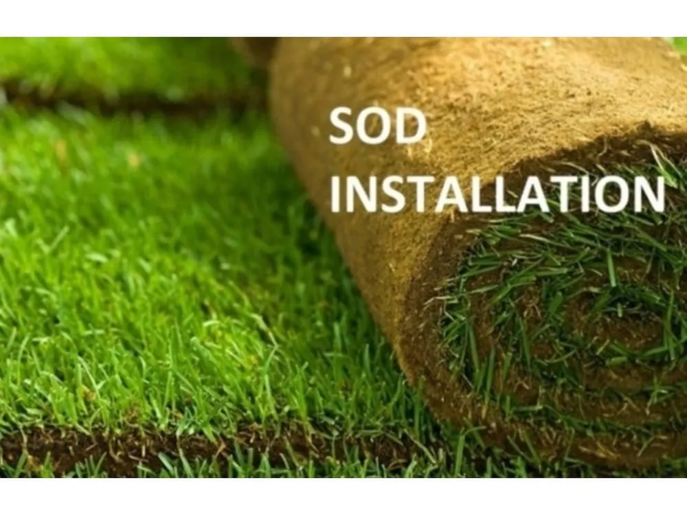 Local landscape design for year-round maintenance in Largo, FL by Henry G's Lawn Care & Landscaping