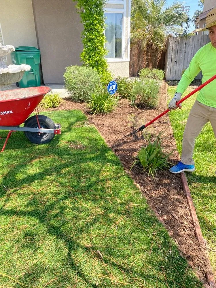 Trusted outdoor landscaping in Baytown, TX by Henry Landscape Services