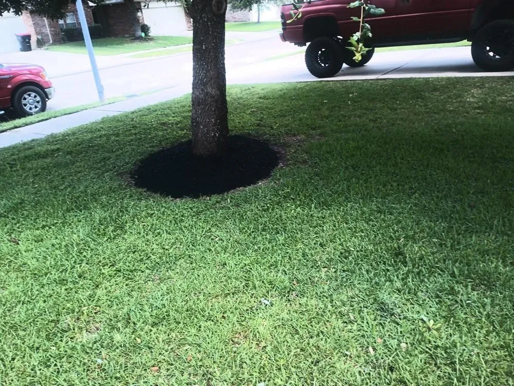 Custom landscape design experts serving Baytown, TX - Henry Landscape Services