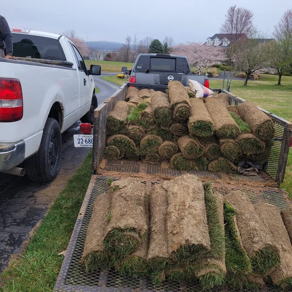Trusted yard maintenance near you across Baytown, TX - Henry Landscape Services