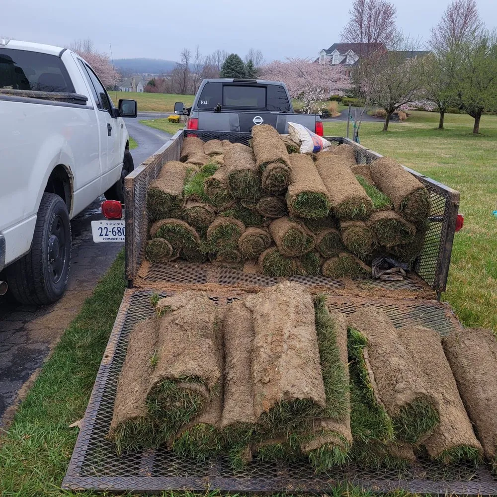 Affordable yard maintenance in Baytown, TX - Henry Landscape Services