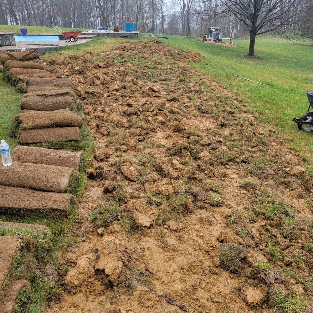 Expert yard maintenance in Baytown, TX - Henry Landscape Services