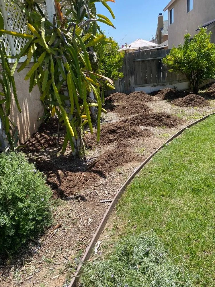 Expert landscape installation for residential properties in Baytown, TX by Henry Landscape Services