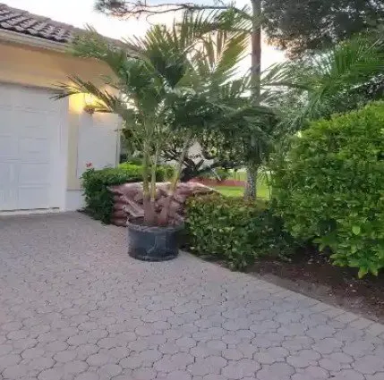 Reliable landscaping services in Stuart, FL by Henry Landscaping & Tree Services