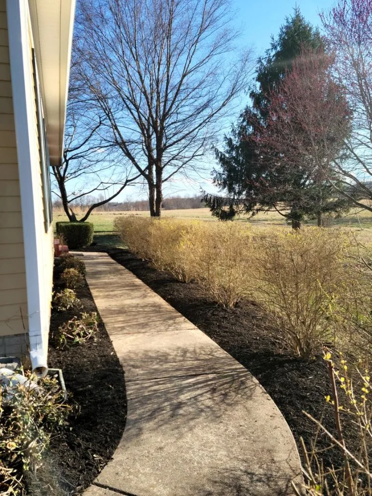 Trusted yard cleanup service experts serving Manassas, VA - Henry Landscaping and Tree Service