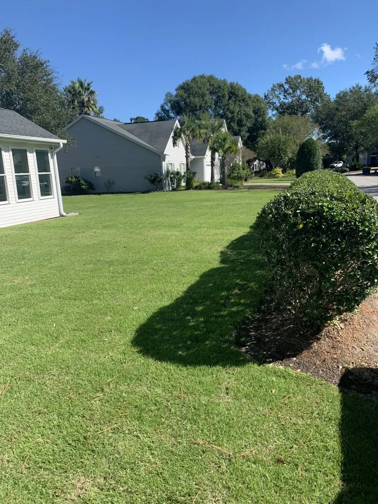 Expert outdoor landscaping experts serving Charleston, SC - Henry Landscaping
