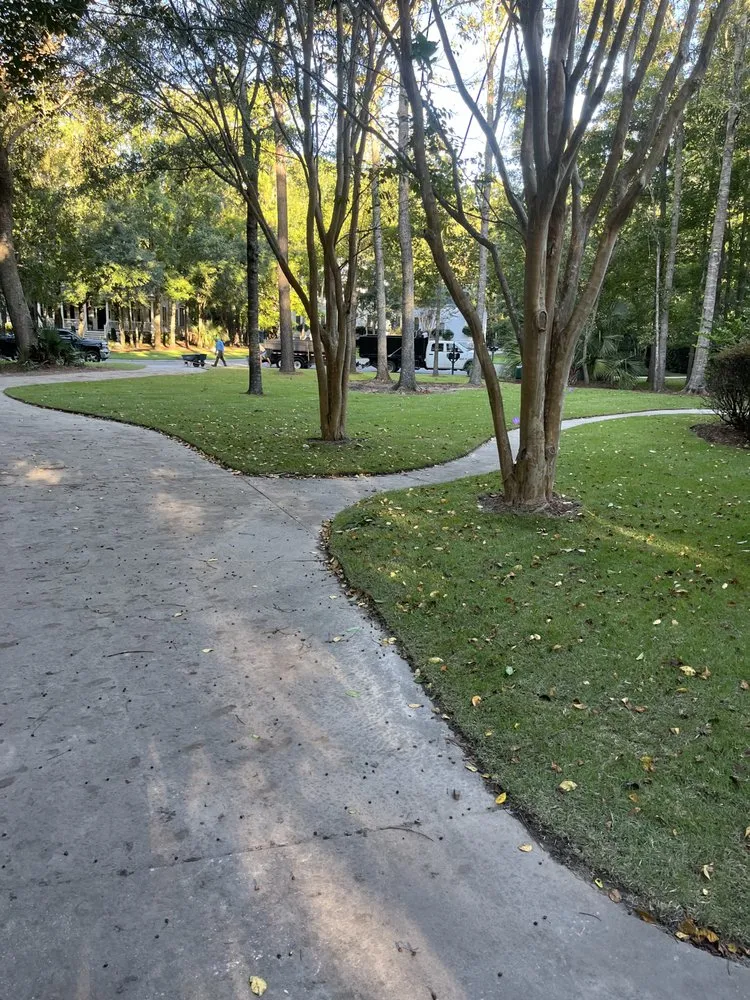 Reliable lawn care service in Charleston, SC - Henry Landscaping
