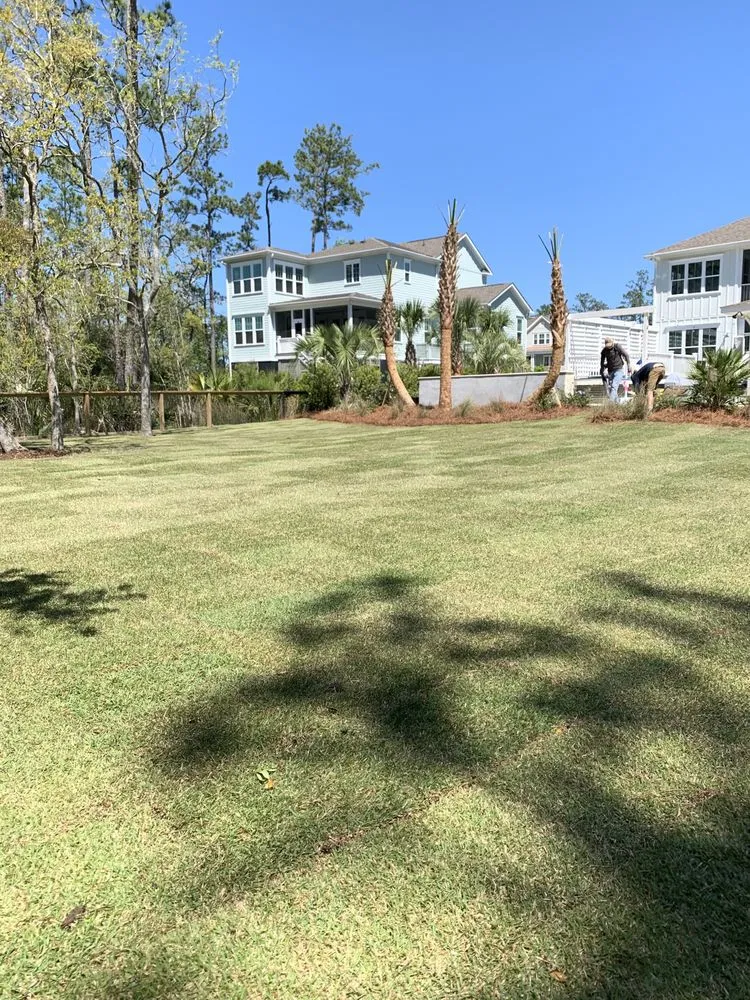 Reliable yard cleanup service for year-round maintenance in Charleston, SC by Henry Landscaping
