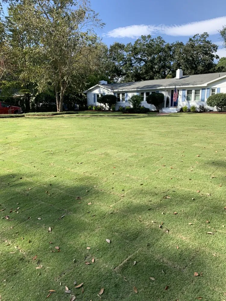 Expert yard cleanup service experts serving Charleston, SC - Henry Landscaping