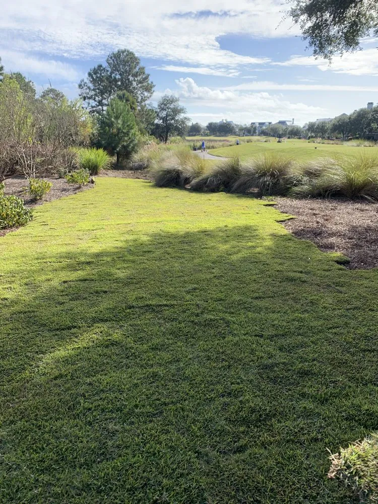 Affordable landscape installation in Charleston, SC by Henry Landscaping