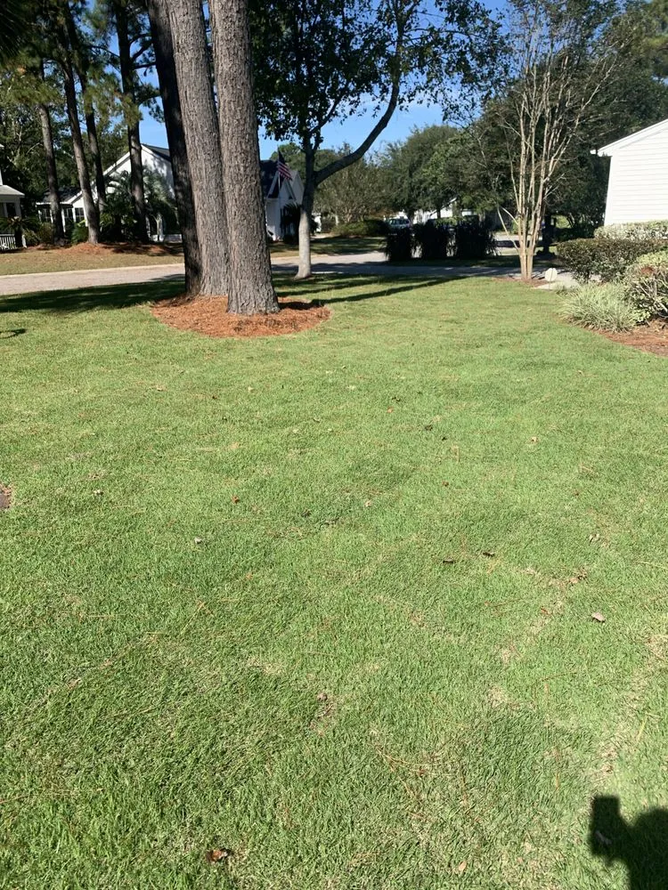 Custom landscape design near you in Charleston, SC by Henry Landscaping