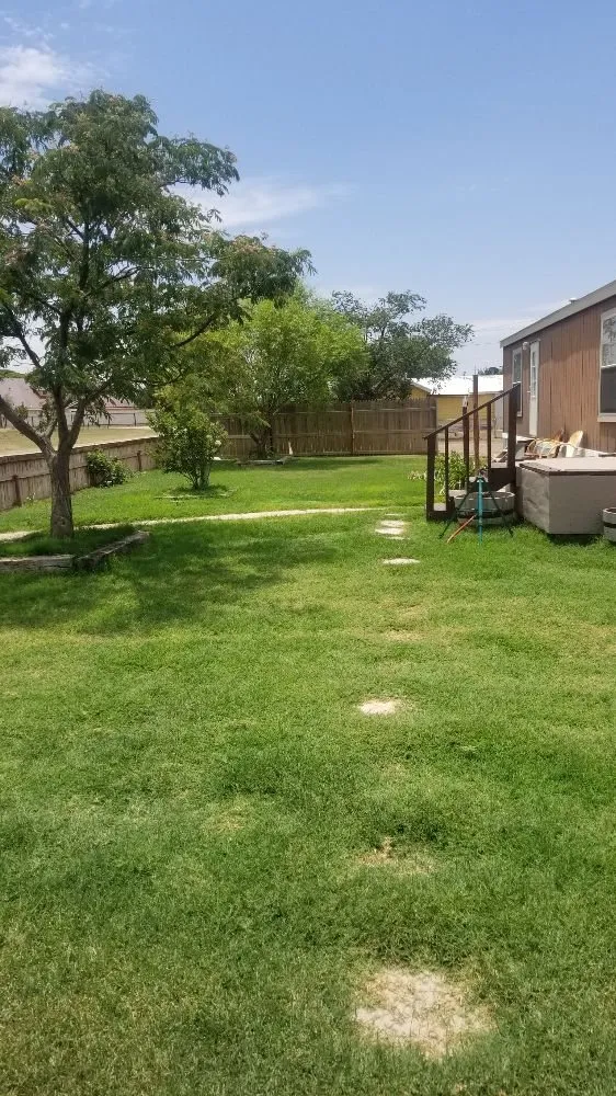Expert yard maintenance experts serving Seagraves, TX - Henry Lawn Service And Mobile Wash