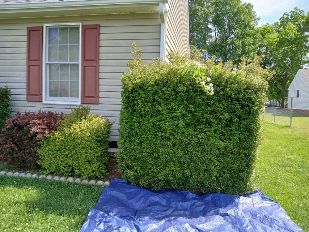 Local lawn care service in Petersburg, VA by Henry MB Lawn Care Service