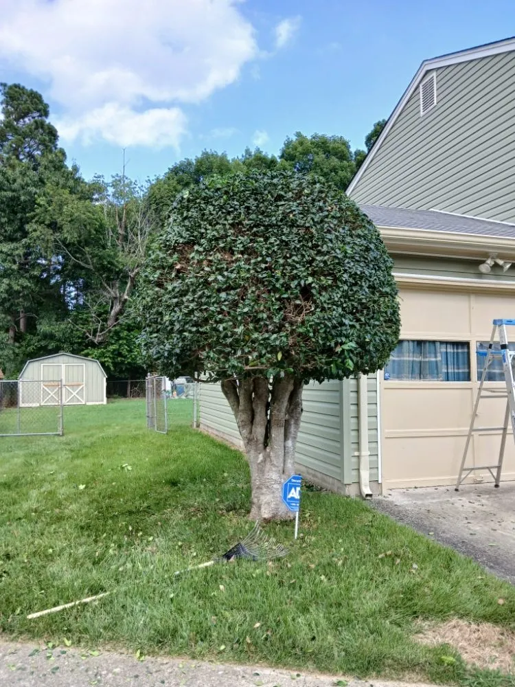 Professional garden landscaping experts serving Petersburg, VA - Henry MB Lawn Care Service