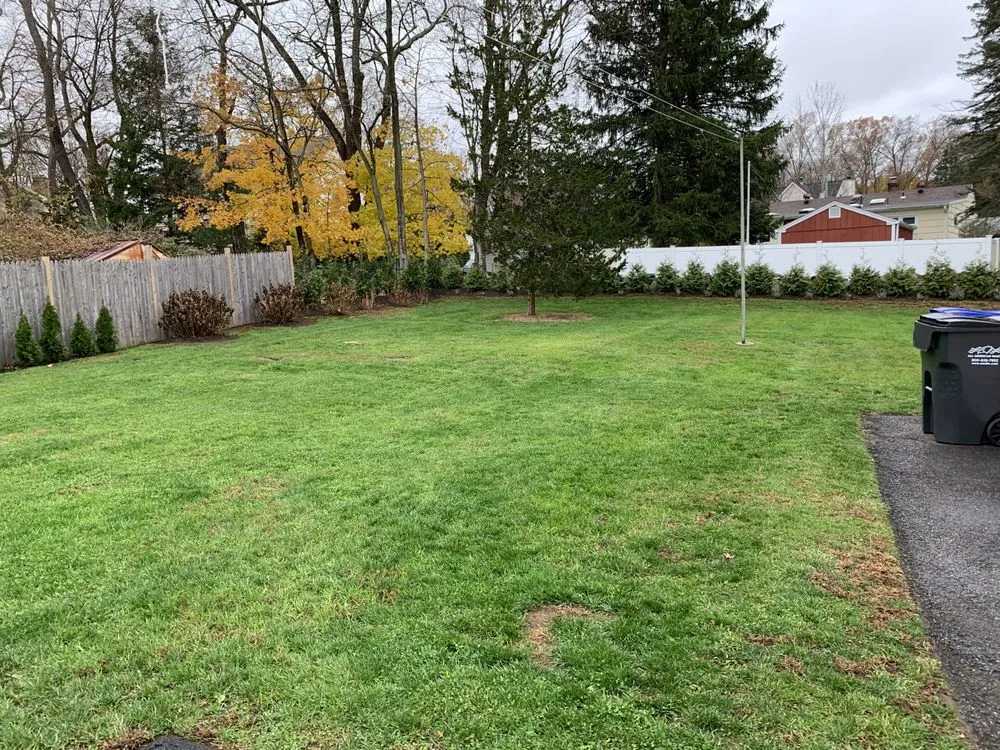 Top-rated landscape installation for beautiful yards across Fairfield, CT - Henry Rodriguez LLC