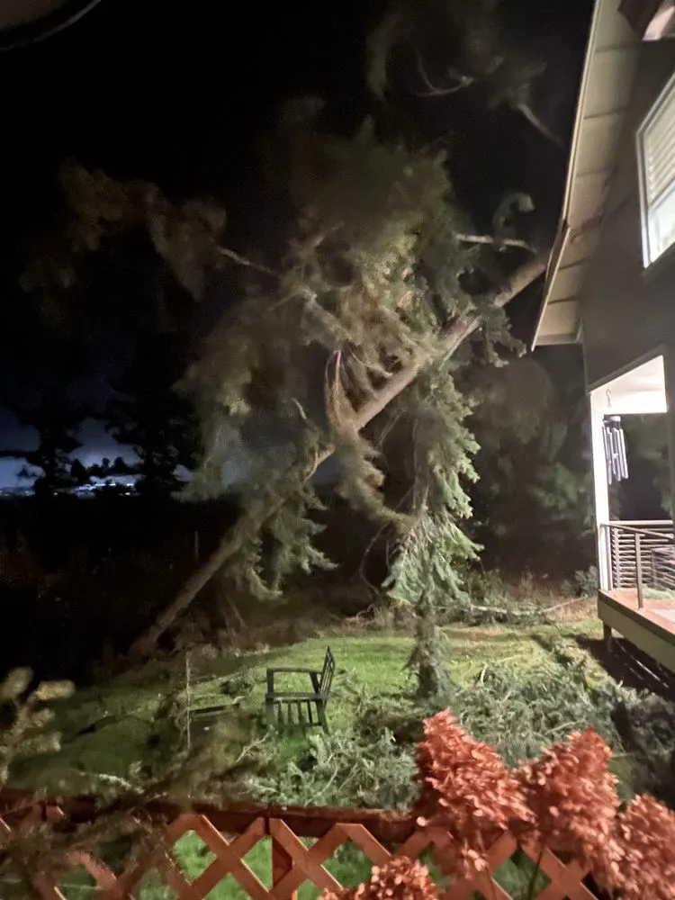 Affordable garden landscaping in Langley, WA by Henry Tree Service