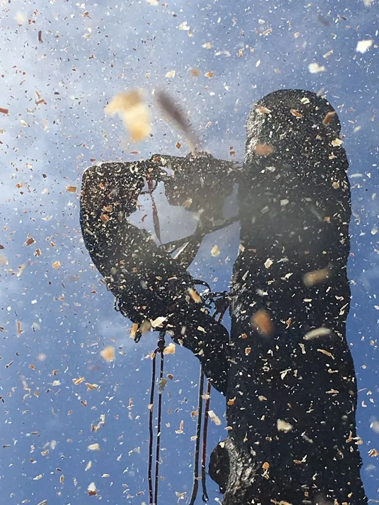 Reliable landscaping services for outdoor upgrades across Langley, WA - Henry Tree Service