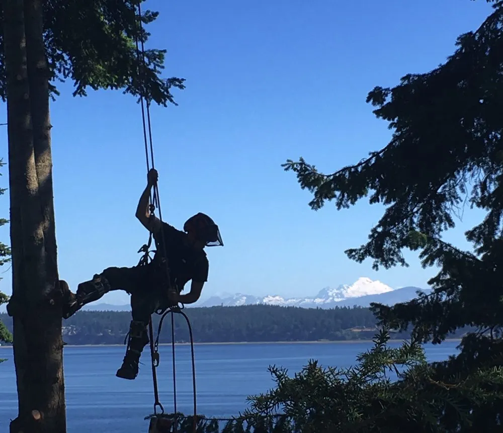 Reliable outdoor landscaping in Langley, WA - Henry Tree Service