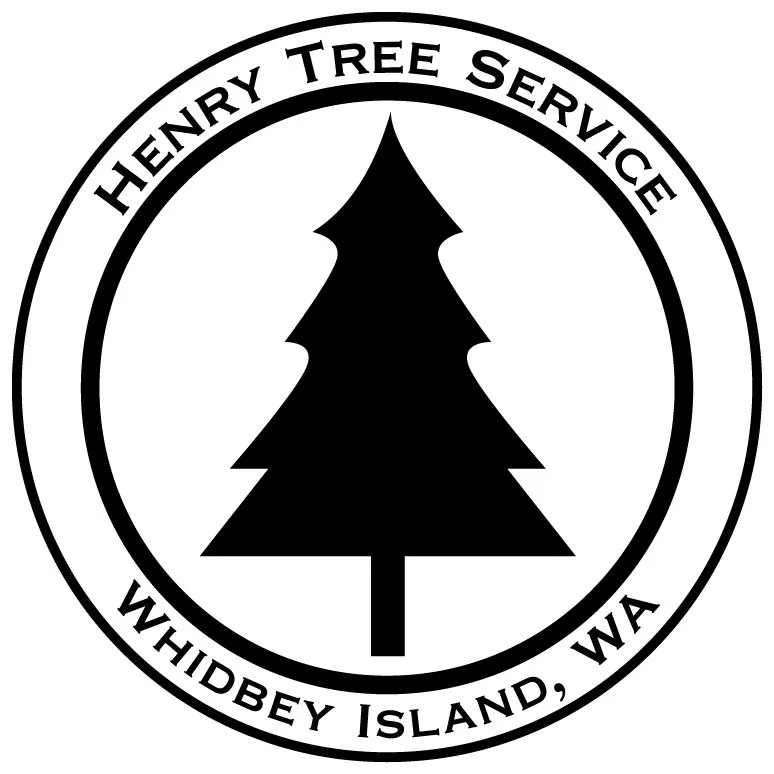Custom yard cleanup service experts serving Langley, WA - Henry Tree Service