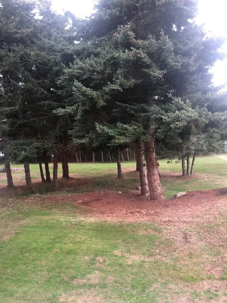 Top-rated outdoor landscaping for outdoor upgrades in Langley, WA by Henry Tree Service