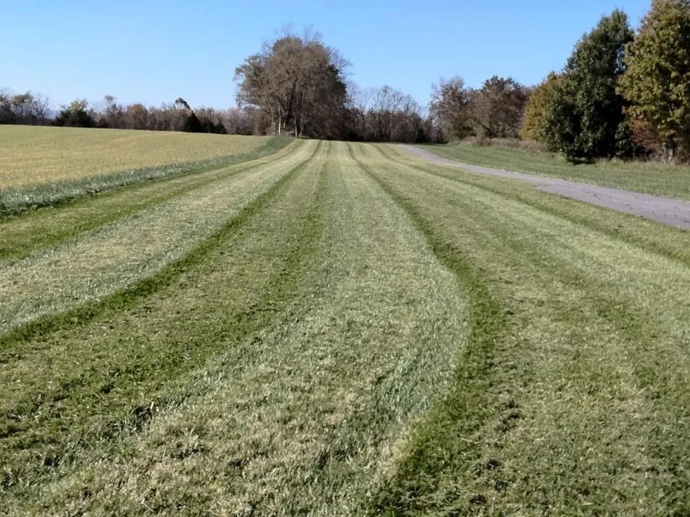 Expert garden landscaping in Frederick, MD - Henry’s Landscaping