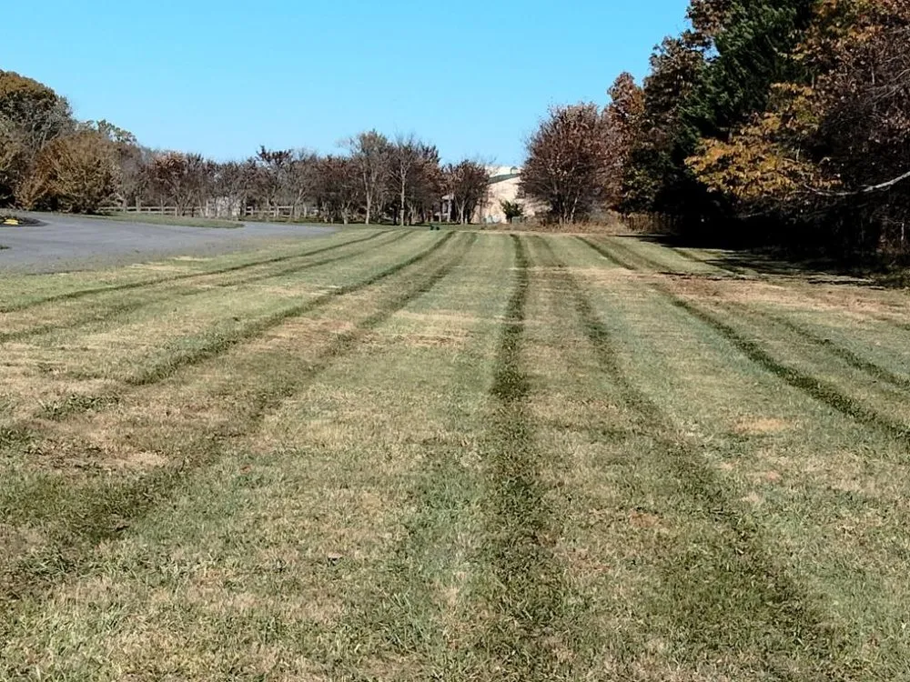 Trusted landscape installation for homes in Frederick, MD by Henry’s Landscaping