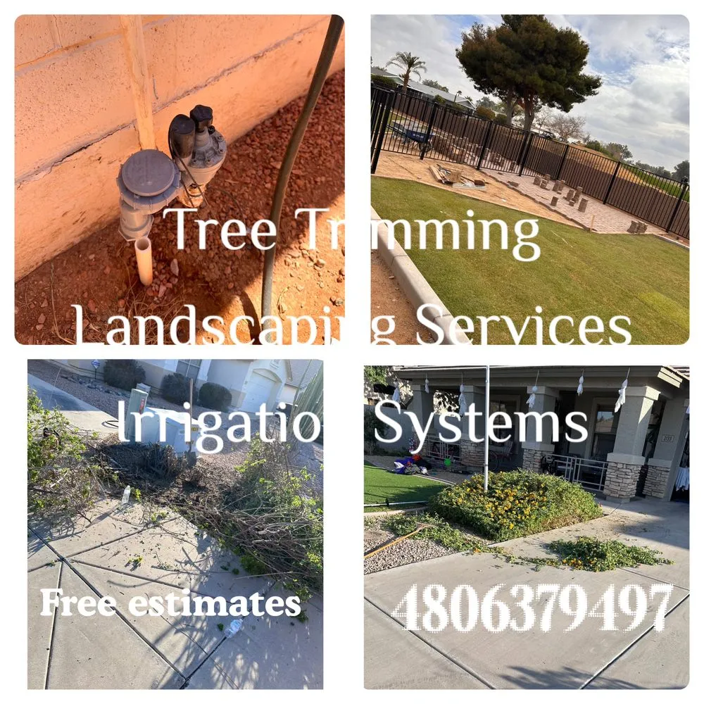 Trusted garden landscaping in Gilbert, AZ by Henry’s Landscaping