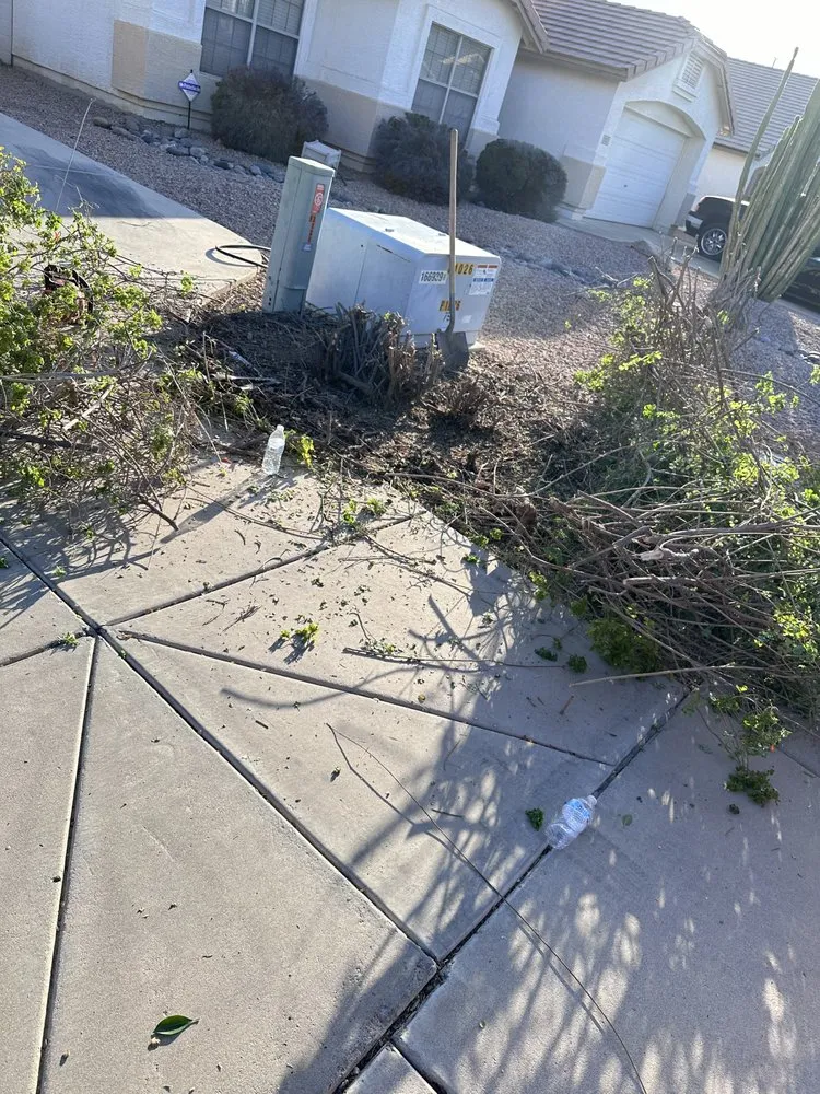 Expert yard maintenance for beautiful yards across Gilbert, AZ - Henry’s Landscaping