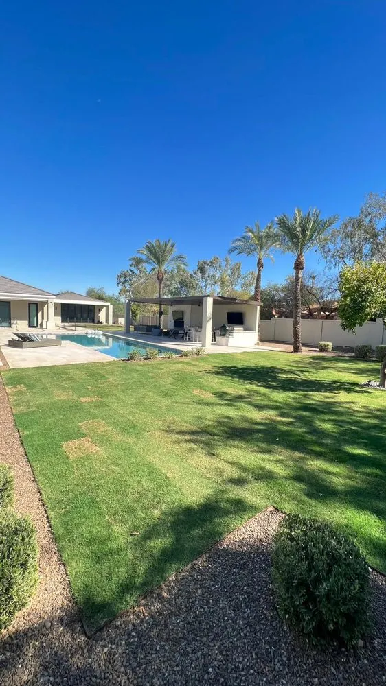 Expert yard cleanup service in Gilbert, AZ - Henry’s Landscaping