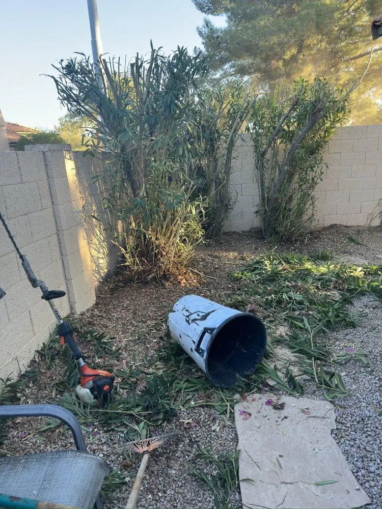 Local landscape installation near you in Gilbert, AZ by Henry’s Landscaping