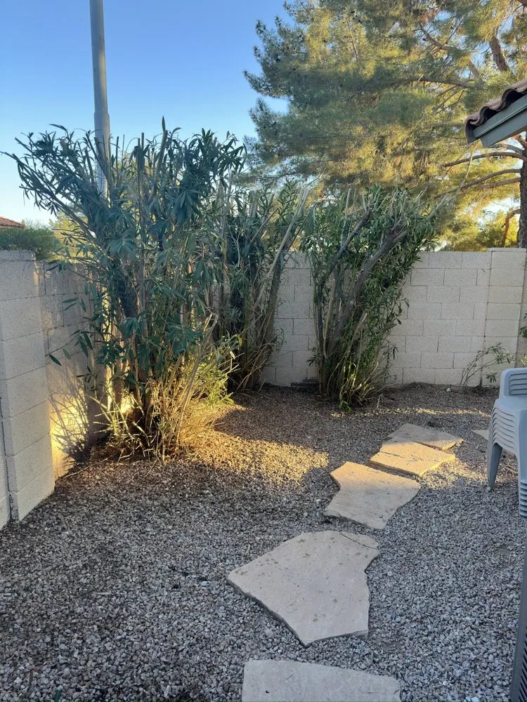 Reliable yard cleanup service experts serving Gilbert, AZ - Henry’s Landscaping