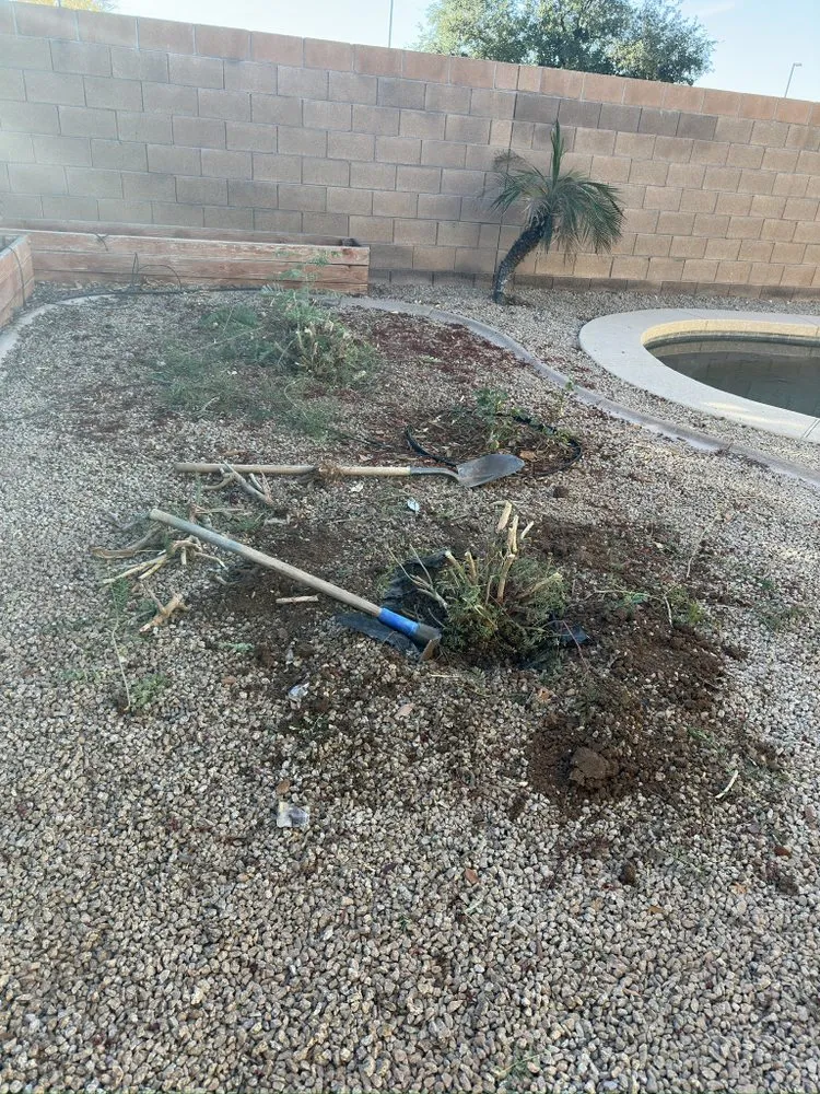 Affordable landscaping services experts serving Gilbert, AZ - Henry’s Landscaping