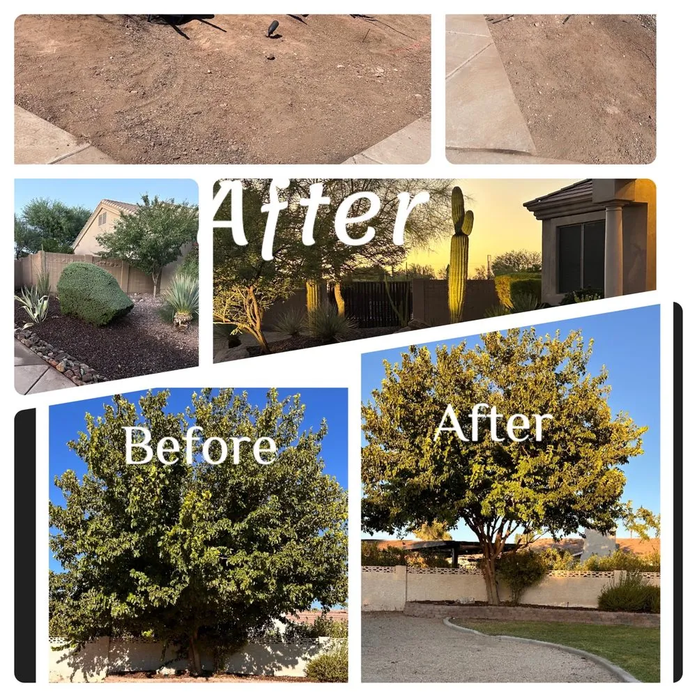 Trusted yard cleanup service experts serving Gilbert, AZ - Henry’s Landscaping