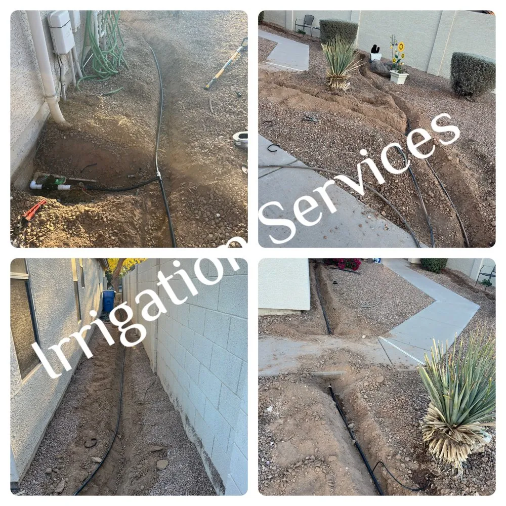 Reliable garden landscaping for residential properties in Gilbert, AZ by Henry’s Landscaping