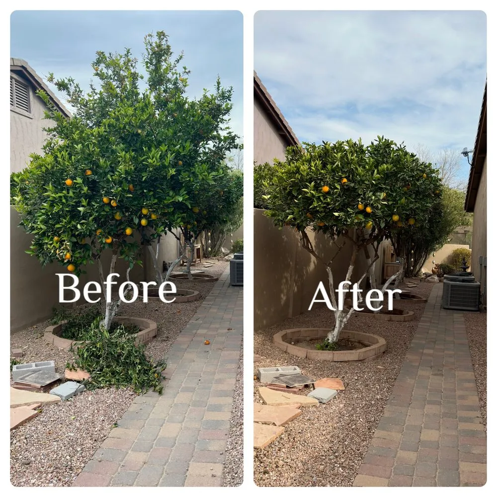 Custom outdoor landscaping experts serving Gilbert, AZ - Henry’s Landscaping
