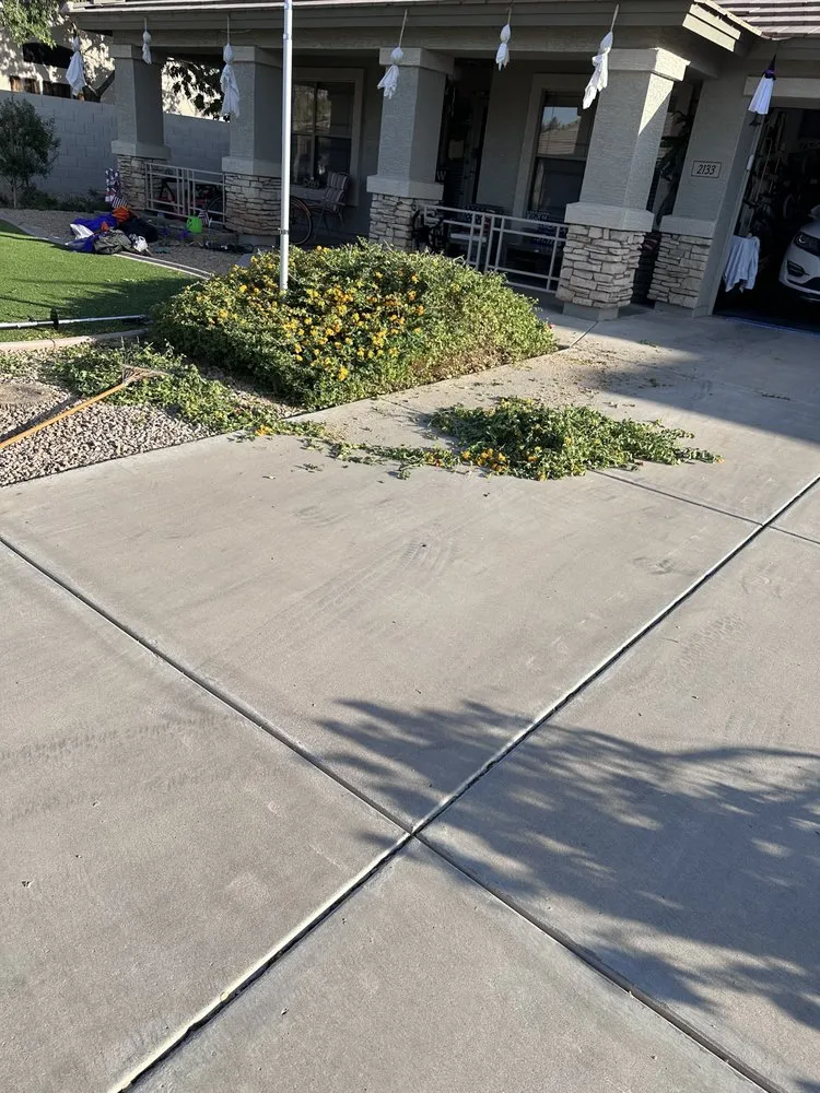 Top-rated residential landscaping in Gilbert, AZ by Henry’s Landscaping