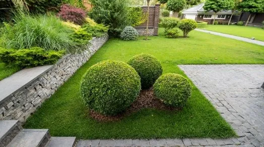 Expert yard cleanup service in Hampden, ME - Henry's Landscaping