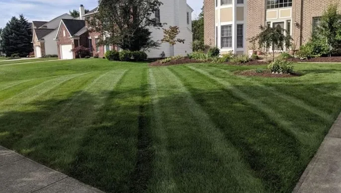 Affordable landscape design in Hampden, ME by Henry's Landscaping