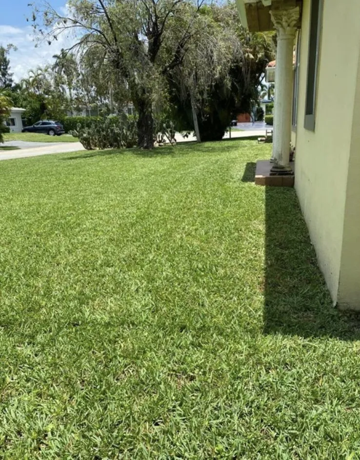Local lawn care service in Miami, FL by Henrys Landscaping