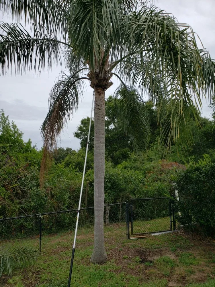 Expert landscaping services in Orlando, FL by Henry's Landscaping