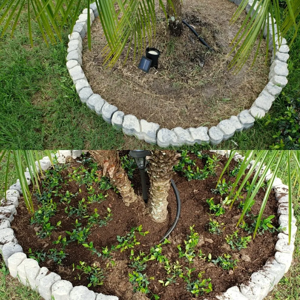 Reliable lawn care service in Orlando, FL - Henry's Landscaping