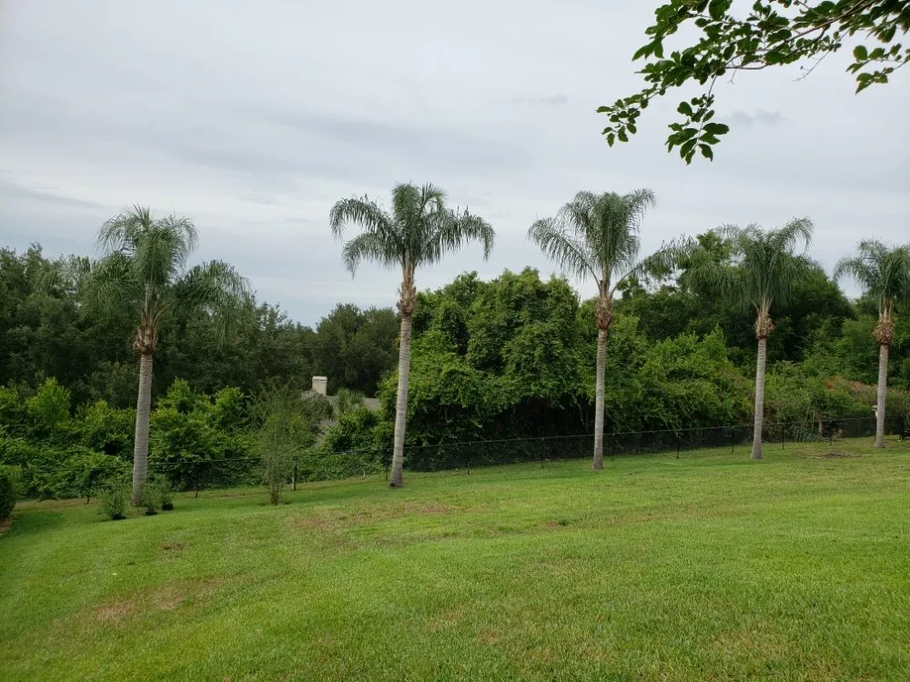 Top-rated lawn mowing service in Orlando, FL by Henry's Landscaping