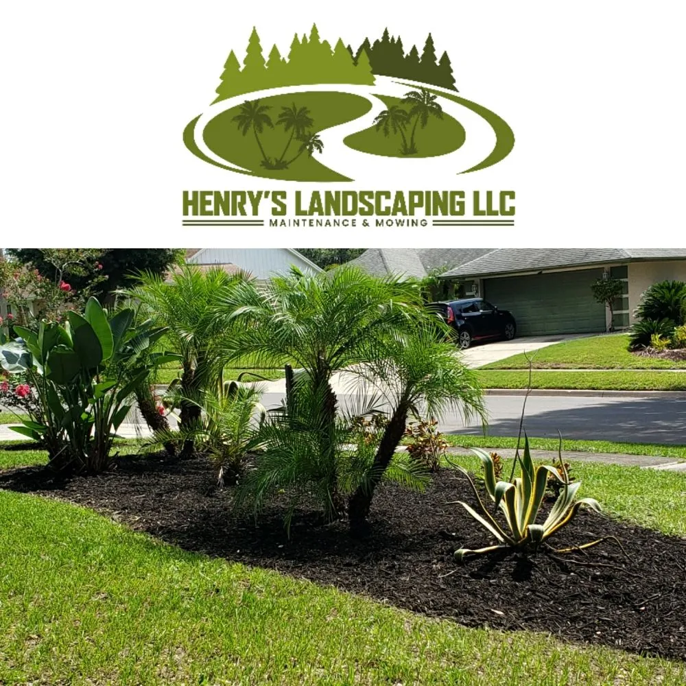 Reliable yard maintenance experts serving Orlando, FL - Henry's Landscaping