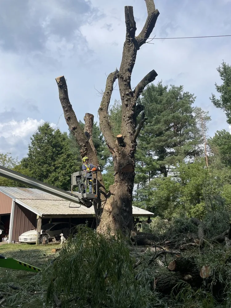 Local garden landscaping in Livonia, MI - Henry's Lawn and Tree