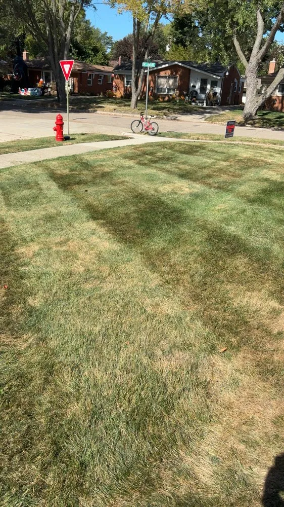 Expert yard maintenance for beautiful yards in Livonia, MI by Henry's Lawn and Tree