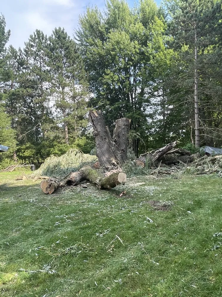 Expert lawn mowing service for outdoor upgrades across Livonia, MI - Henry's Lawn and Tree